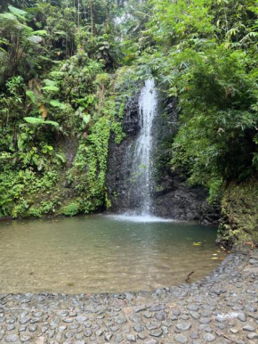 Le Ketmie nature et découverte